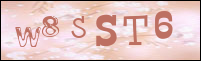 Sicherheitsgrfik bei der Registrierung