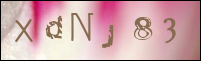 Sicherheitsgrfik bei der Registrierung