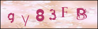 Sicherheitsgrfik bei der Registrierung