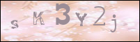 Sicherheitsgrfik bei der Registrierung