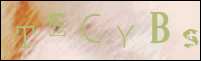 Sicherheitsgrfik bei der Registrierung