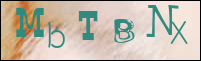 Sicherheitsgrfik bei der Registrierung