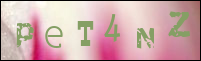 Sicherheitsgrfik bei der Registrierung
