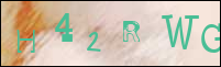 Sicherheitsgrfik bei der Registrierung