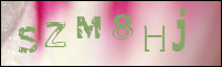 Sicherheitsgrfik bei der Registrierung