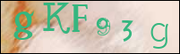 Sicherheitsgrfik bei der Registrierung