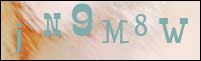 Sicherheitsgrfik bei der Registrierung