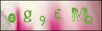 Sicherheitsgrfik bei der Registrierung