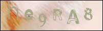 Sicherheitsgrfik bei der Registrierung