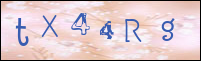 Sicherheitsgrfik bei der Registrierung