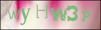 Sicherheitsgrfik bei der Registrierung