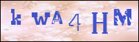 Sicherheitsgrfik bei der Registrierung