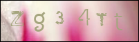 Sicherheitsgrfik bei der Registrierung