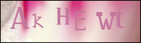 Sicherheitsgrfik bei der Registrierung