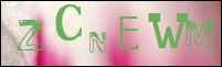 Sicherheitsgrfik bei der Registrierung