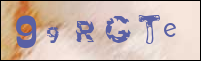 Sicherheitsgrfik bei der Registrierung