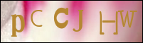 Sicherheitsgrfik bei der Registrierung