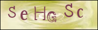 Sicherheitsgrfik bei der Registrierung