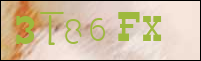 Sicherheitsgrfik bei der Registrierung