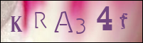 Sicherheitsgrfik bei der Registrierung