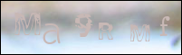 Sicherheitsgrfik bei der Registrierung