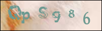 Sicherheitsgrfik bei der Registrierung