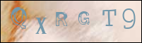 Sicherheitsgrfik bei der Registrierung